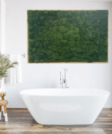 Moss Pure moss wall art moss live moss