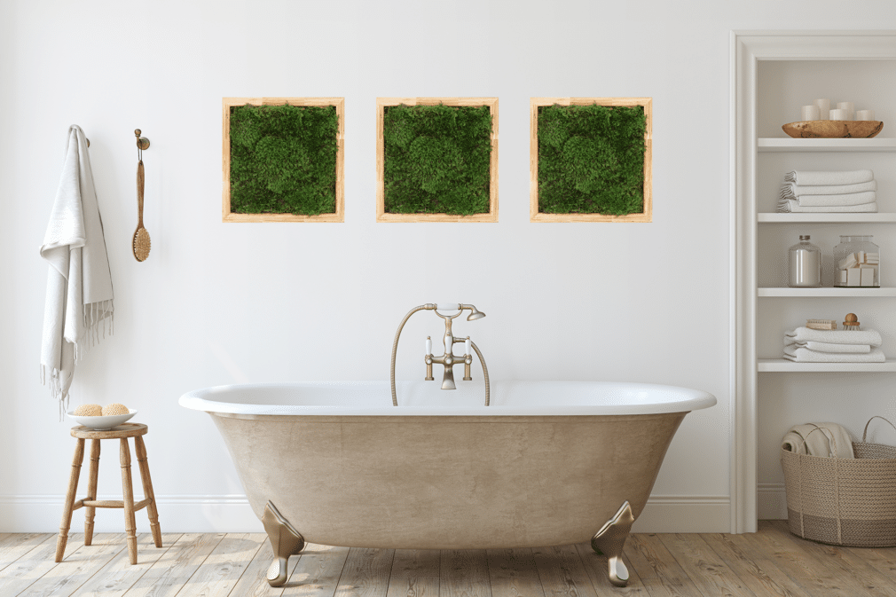 Moss Pure moss wall art moss walls moss wall live moss wall