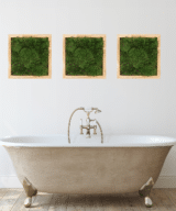 Moss Pure moss wall art moss walls moss wall live moss wall