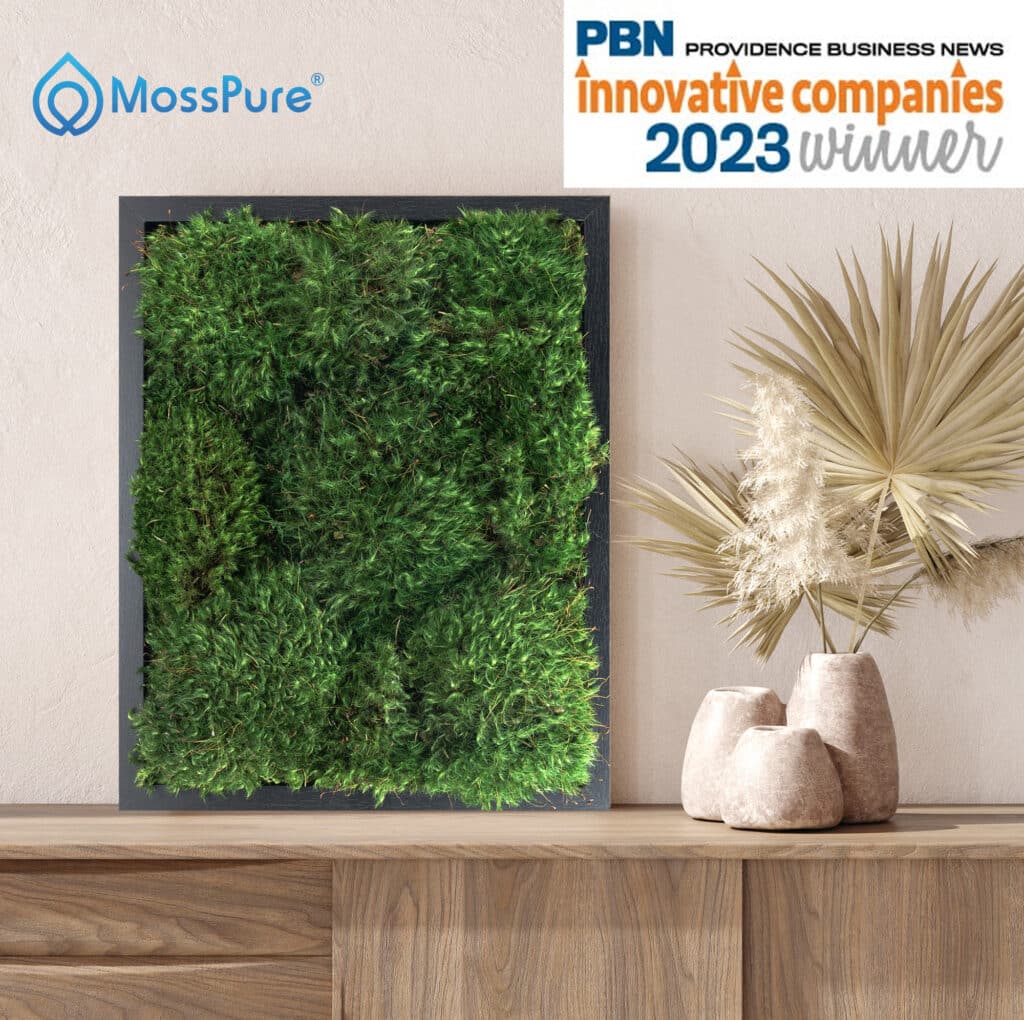 Moss Pure award winning design Moss Wall Art