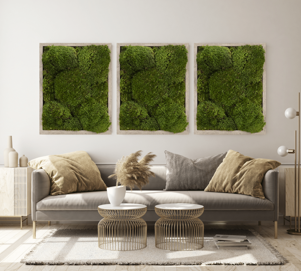 Moss Pure moss wall framed moss wall art