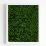 Aesthetically pleasing living moss wall art.