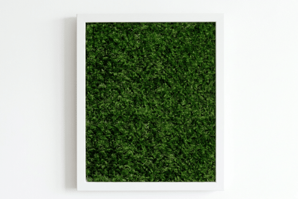 Aesthetically pleasing living moss wall art.