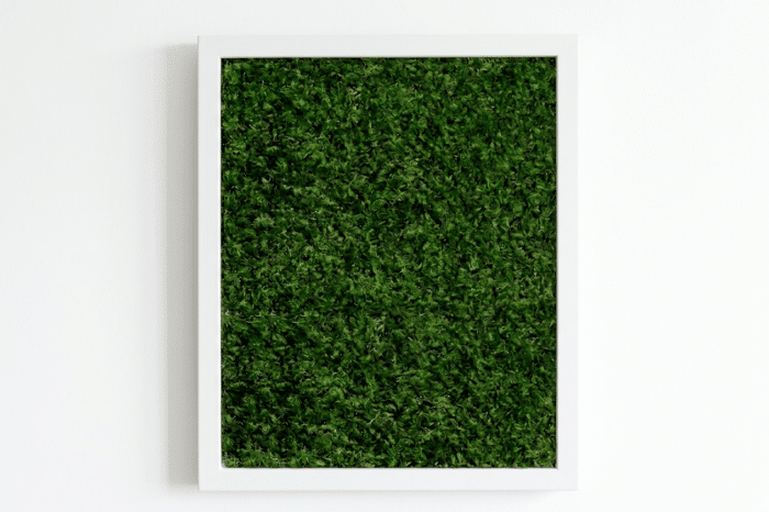 Aesthetically pleasing living moss wall art.