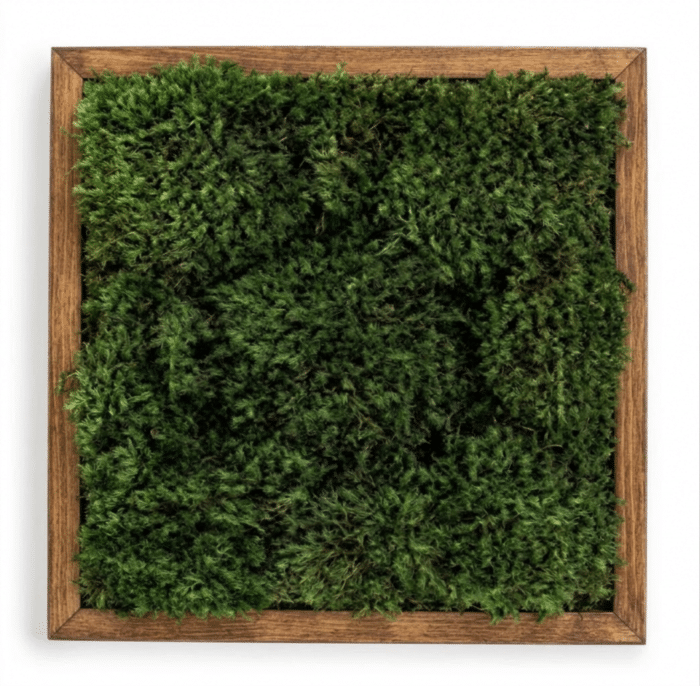 Live Moss Wall in Brown