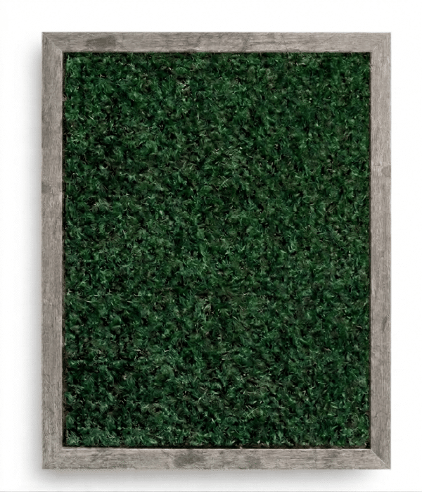 Biophilic Design: Live Moss Wall Art in Gray