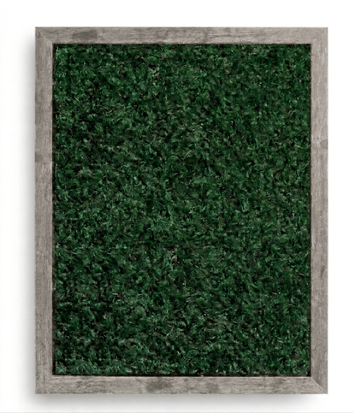 Biophilic Design: Live Moss Wall Art in Gray