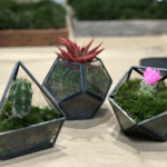 Live Moss Air Filter