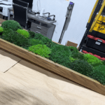 Moss Pure living moss wall panel featuring three shades of green moss in a natural wood frame