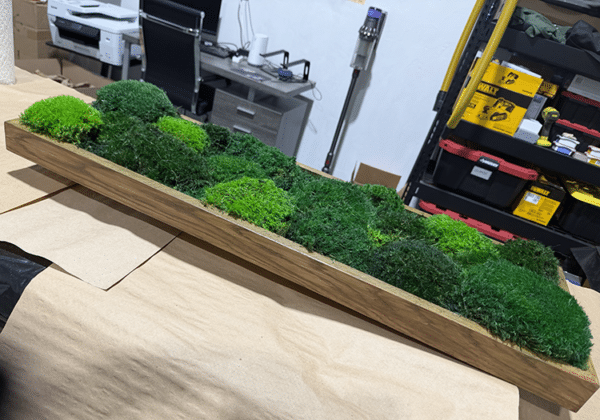 Moss Pure living moss wall panel featuring three shades of green moss in a natural wood frame