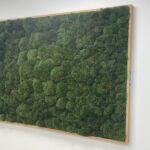 Living Moss Soundproofing Sound capturing panel biophilic design
