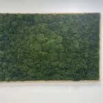 Live moss wall art that is aesthetically pleasing and a certified air filter and stress relief device.