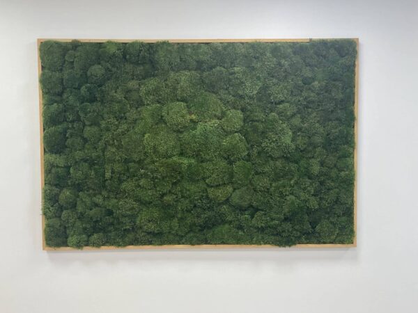 Live moss wall art that is aesthetically pleasing and a certified air filter and stress relief device.