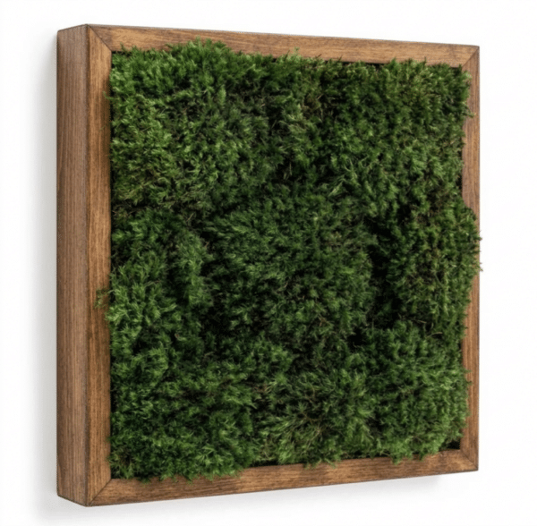 Live Moss wall in Brown
