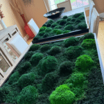 Live moss wall art and air filter for a modern home.