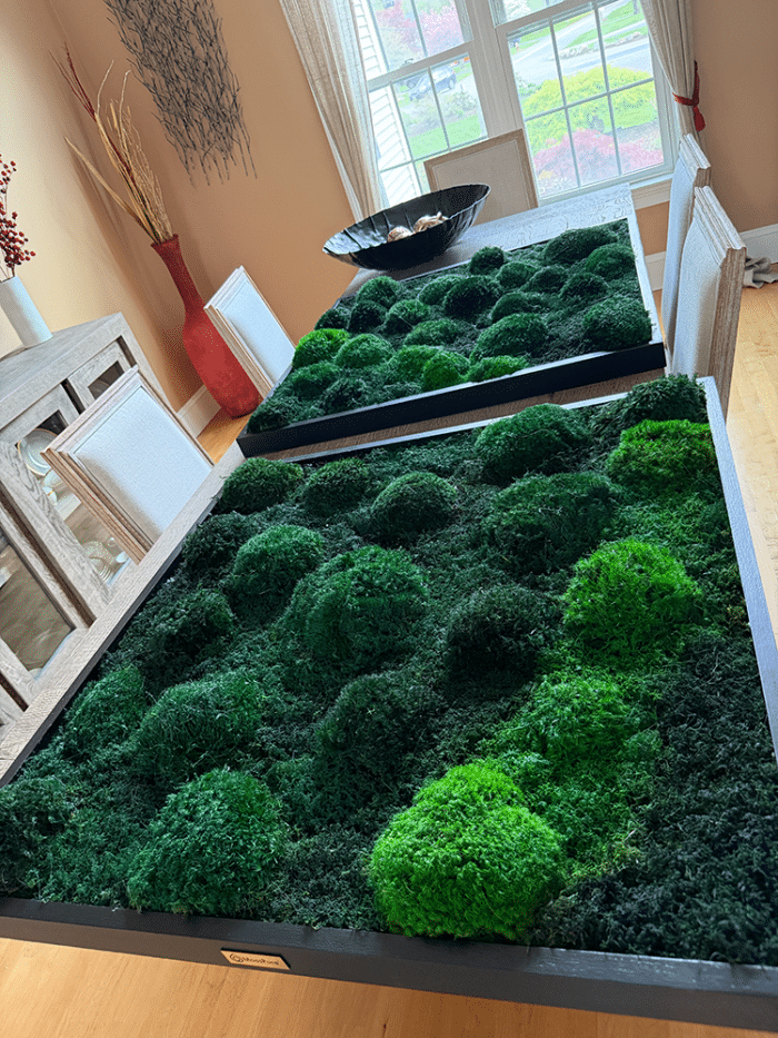 Live moss wall art and air filter for a modern home.