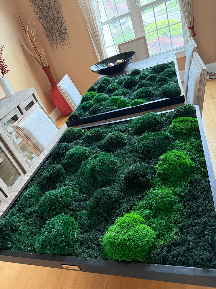 Live moss wall art and air filter for a modern home.