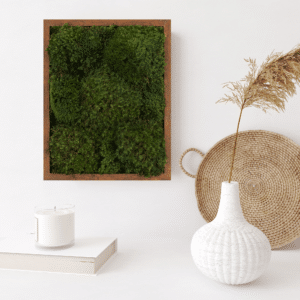 Moss Wall Living Moss Wall Art for your space. Biophilic design at luxury decor.