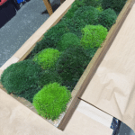 Moss Pure living moss wall panel featuring three shades of green moss in a natural wood frame