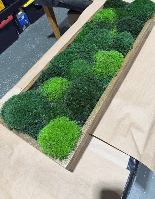 Moss Pure living moss wall panel featuring three shades of green moss in a natural wood frame