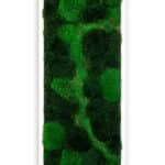Luxury live moss wall with LIVE green moss and custom wood frame, sustainable biophilic design for interiors