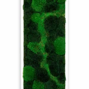 Luxury live moss wall with LIVE green moss and custom wood frame, sustainable biophilic design for interiors