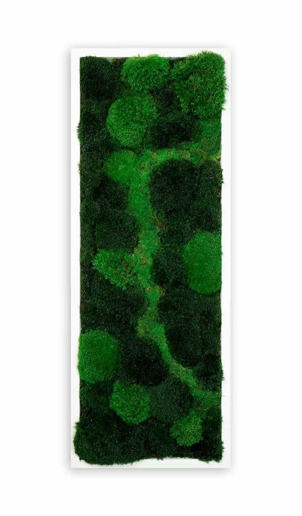 Luxury live moss wall with LIVE green moss and custom wood frame, sustainable biophilic design for interiors
