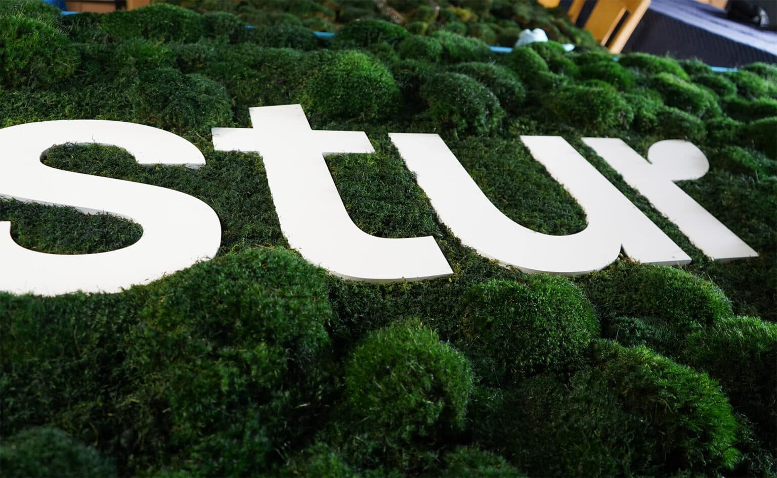 Custom Live Moss Walls - Moss Pure