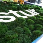 Moss Pure Moss Air Filter. Living moss wall art that improves air quality and provides therapeutic relief from stress and anxiety. Moss wall art in home.