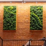 Moss Pure Moss Air Filter. Living moss wall art that improves air quality and provides therapeutic relief from stress and anxiety. Moss wall art in home.