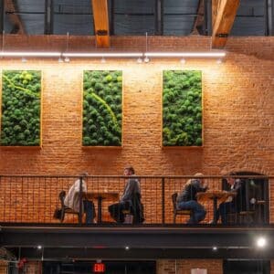 Moss Pure Moss Air Filter. Living moss wall art that improves air quality and provides therapeutic relief from stress and anxiety. Moss wall art in home.