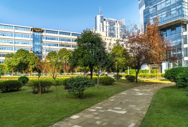 Live Turf For Corporate Office Buildings