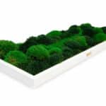 Biophilic design in corporate office.