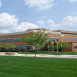 Live Turf For Corporate Office Buildings