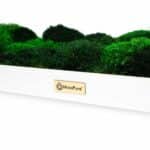 Biophilic design in corporate office.