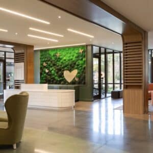 Moss Wall in Office Lobby