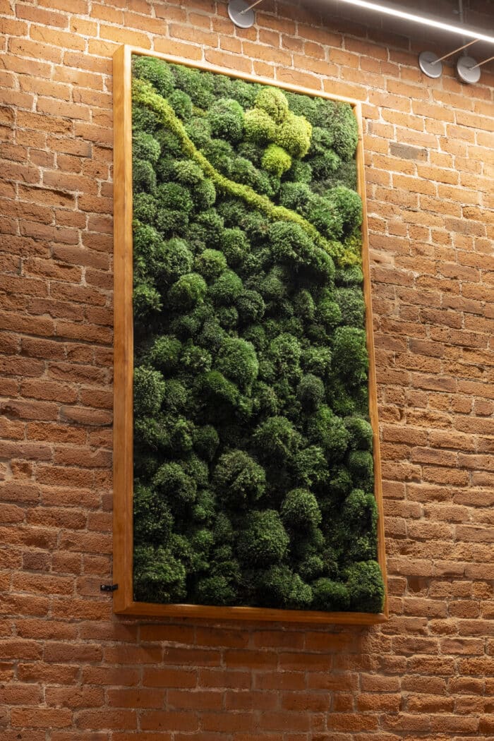 How long does moss wall art last?