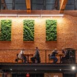 biophilic design of 3 living moss wall art