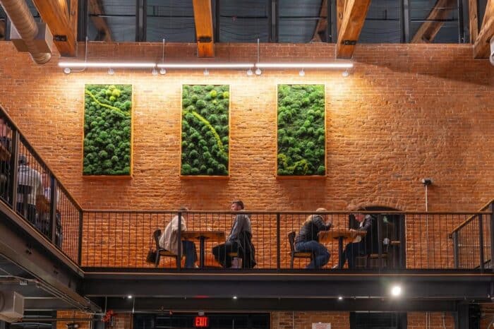 biophilic design of 3 living moss wall art