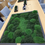 Moss Pure Moss Air Filter. Living moss wall art that improves air quality and provides therapeutic relief from stress and anxiety. Moss wall art in home.