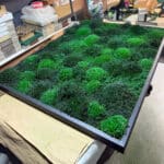 Moss Wall and Moss Air Filter at Manufacturing Plant to capture pollutants.