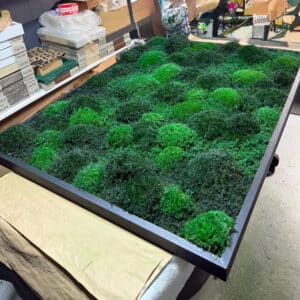 Moss Wall and Moss Air Filter at Manufacturing Plant to capture pollutants.