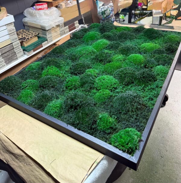 Moss Wall and Moss Air Filter at Manufacturing Plant to capture pollutants.
