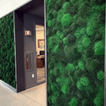 Moss in Lobby