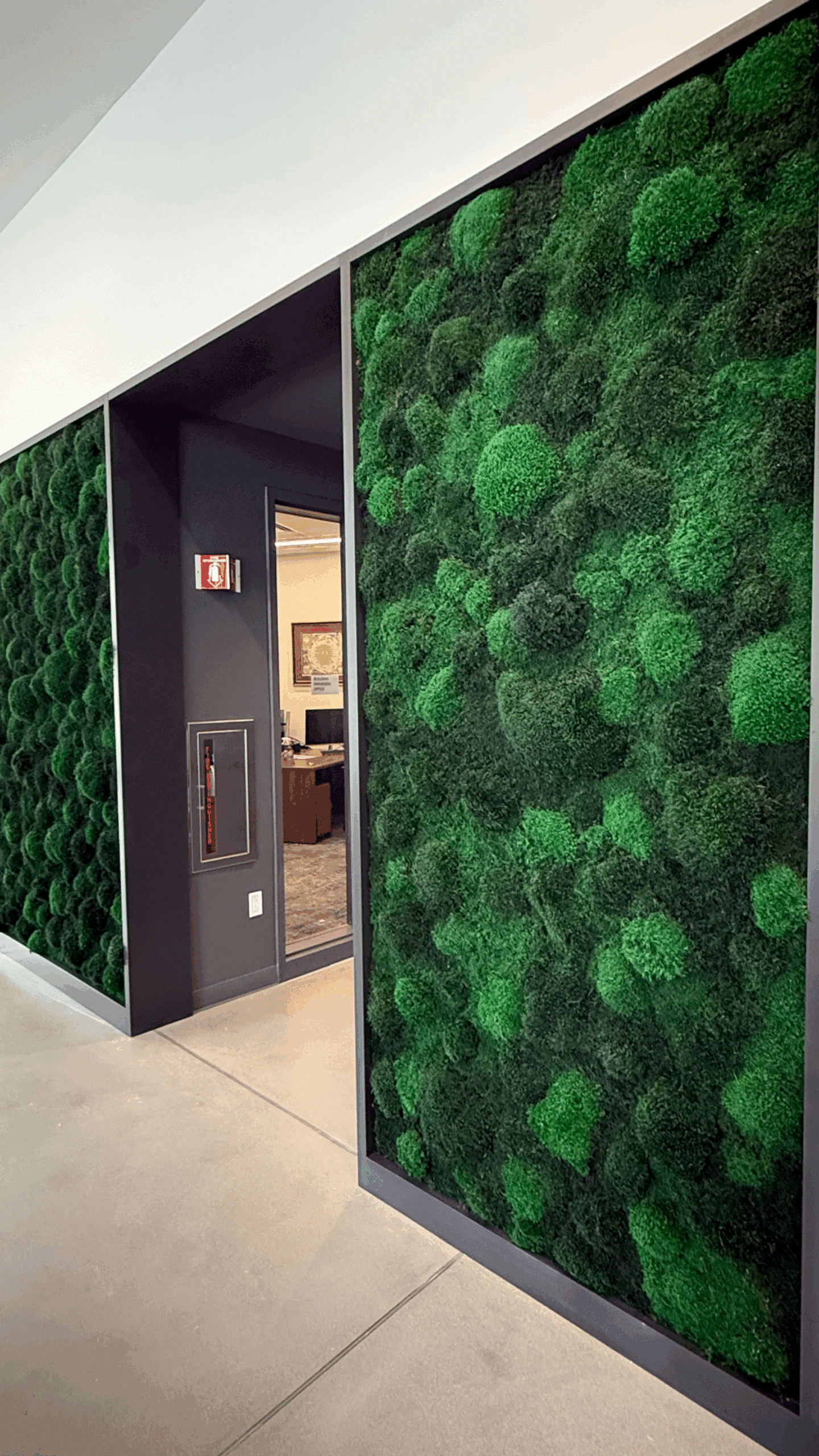 Moss in Lobby
