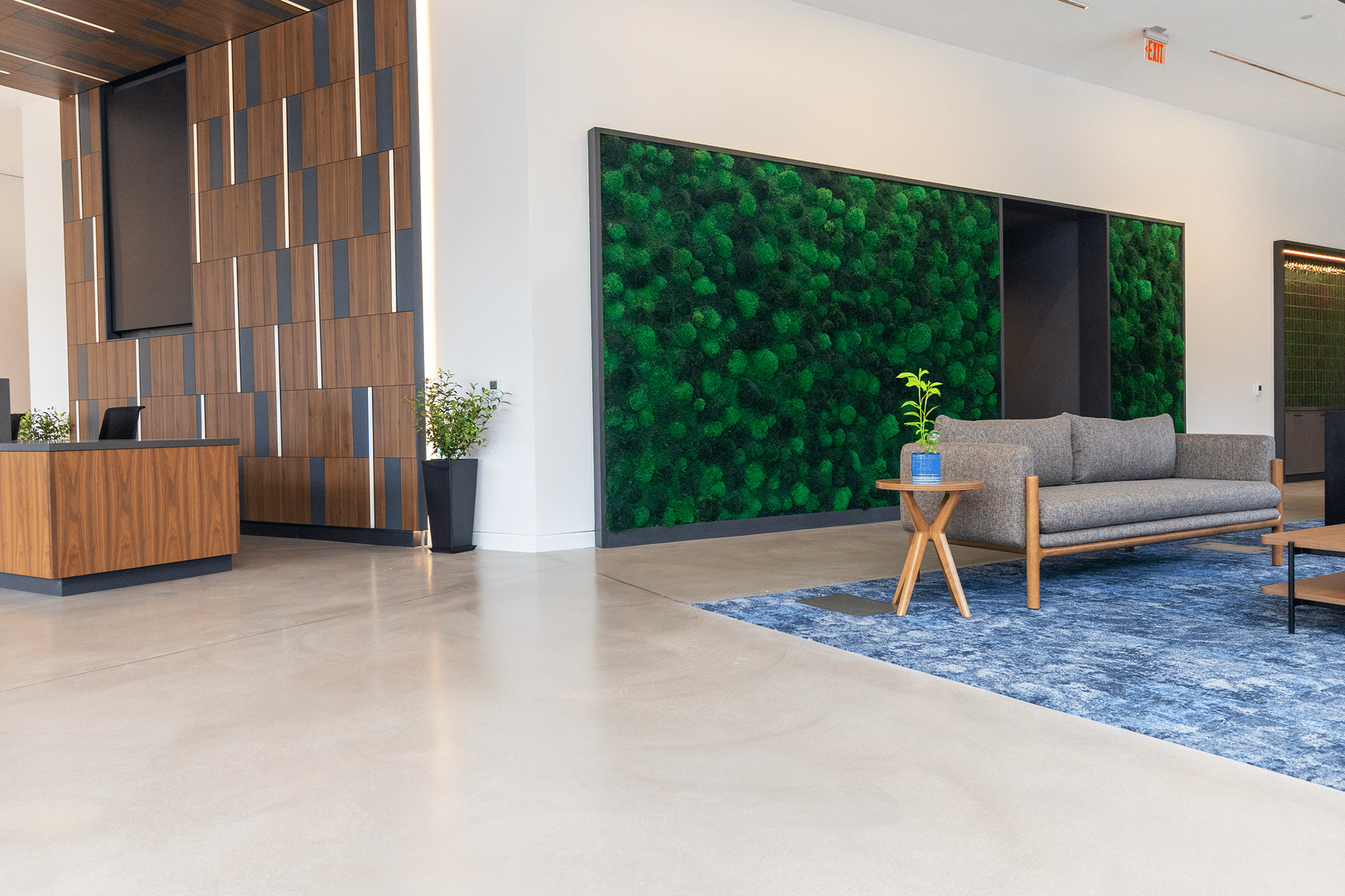 Luxury live moss wall with LIVE green moss and custom wood frame, sustainable biophilic design for interiors