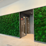 Moss in Lobby