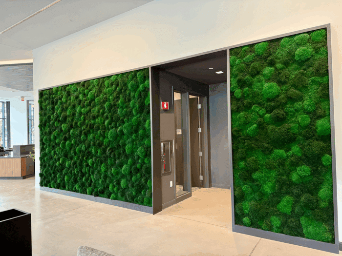 Moss in Lobby