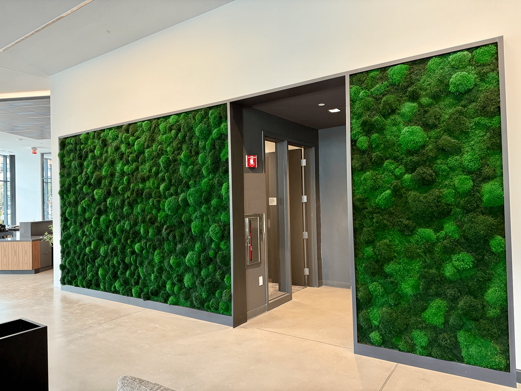 Moss in Lobby