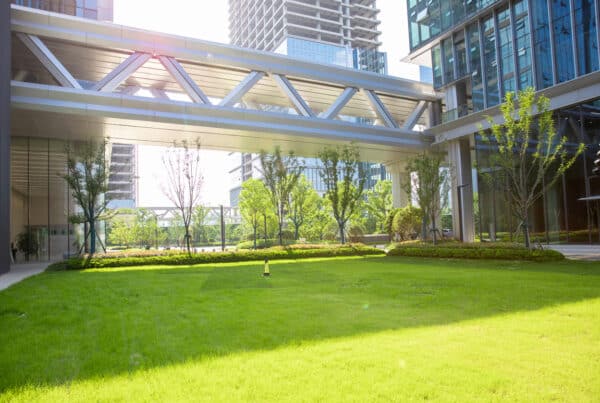 Live moss turf at a luxury corporate office building
